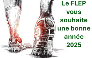 Bonne année 2025